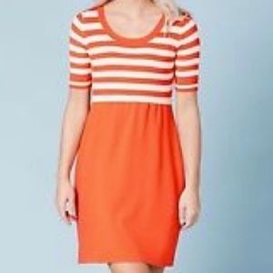 NWT Boden Knit Dress
